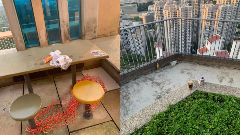 HDB residents call for more to be done about littering, cleanliness at public sky gardens