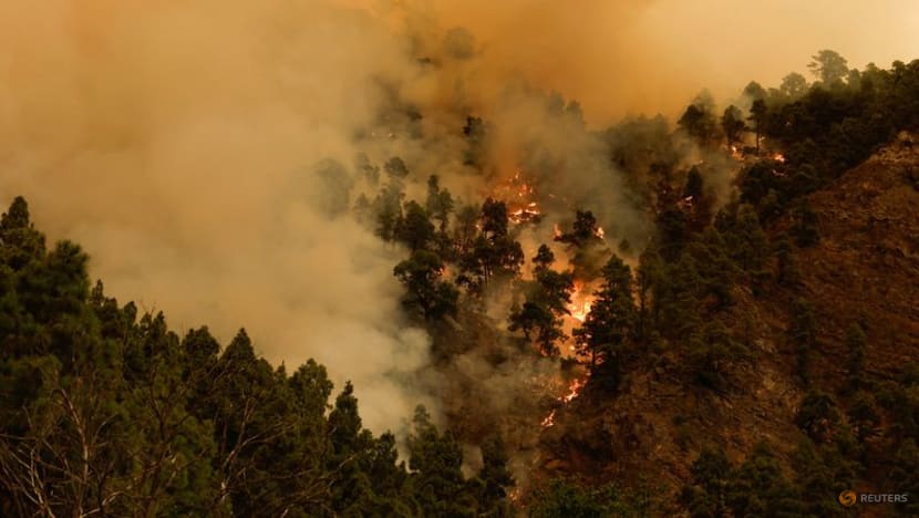 Thousands evacuated as wildfire on Spain's Tenerife island rages on