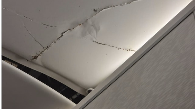 阿联酋客机遇强乱流 天花板被撞裂14人受伤