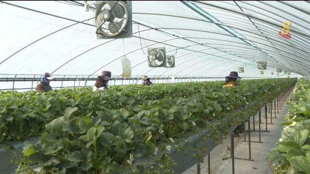 韩国今年拟引进11万名外籍劳工 居住情况成焦点
