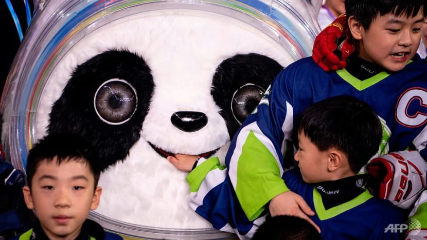 China chooses panda as Winter Olympics mascot