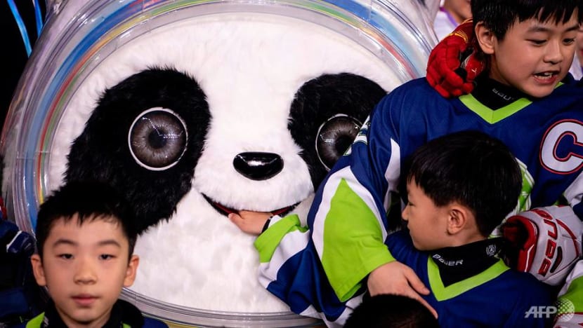 China chooses panda as Winter Olympics mascot China chooses panda as Winter Olympics mascot