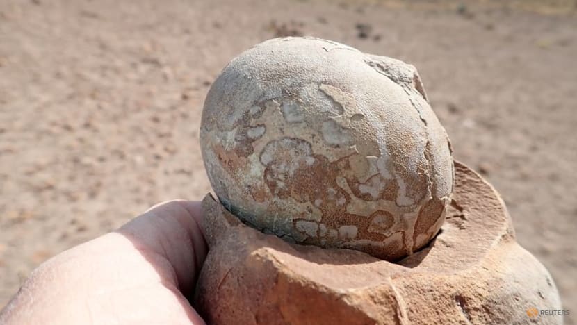 Patagonian fossils show Jurassic dinosaur had the herd mentality Patagonian fossils show Jurassic dinosaur had the herd mentality