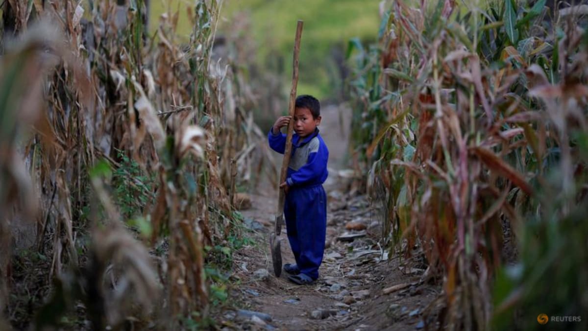 Kekurangan pangan di Korea Utara tampaknya semakin memburuk, kata Korea Selatan