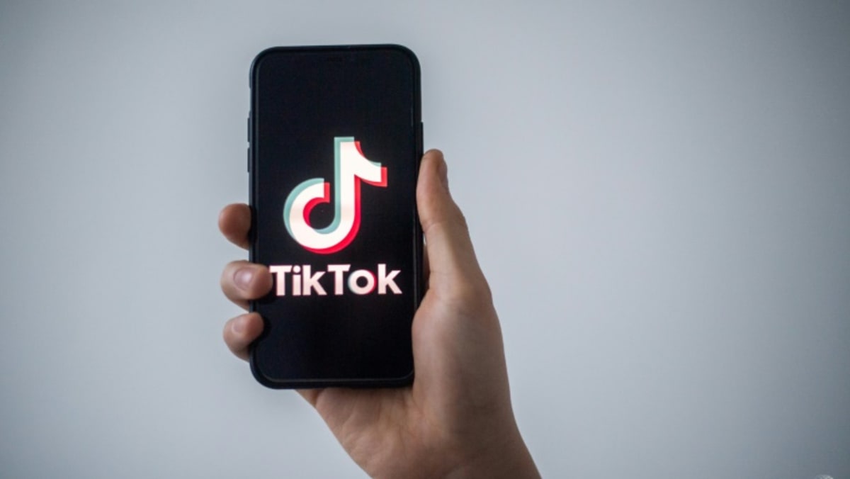 TikTok finds ‘partner’ in Europe to offer security reassurances