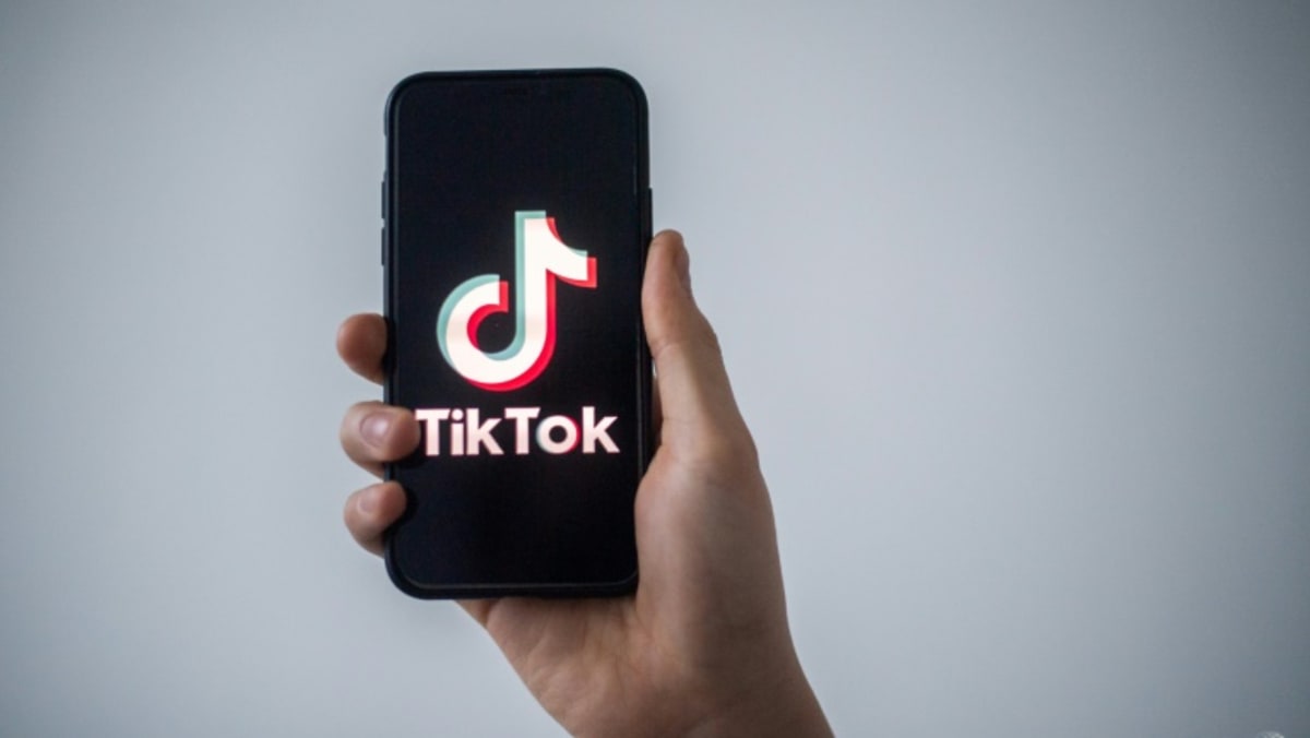 TikTok finds ‘partner’ in Europe to offer security reassurances TikTok finds ‘partner’ in Europe to offer security reassurances