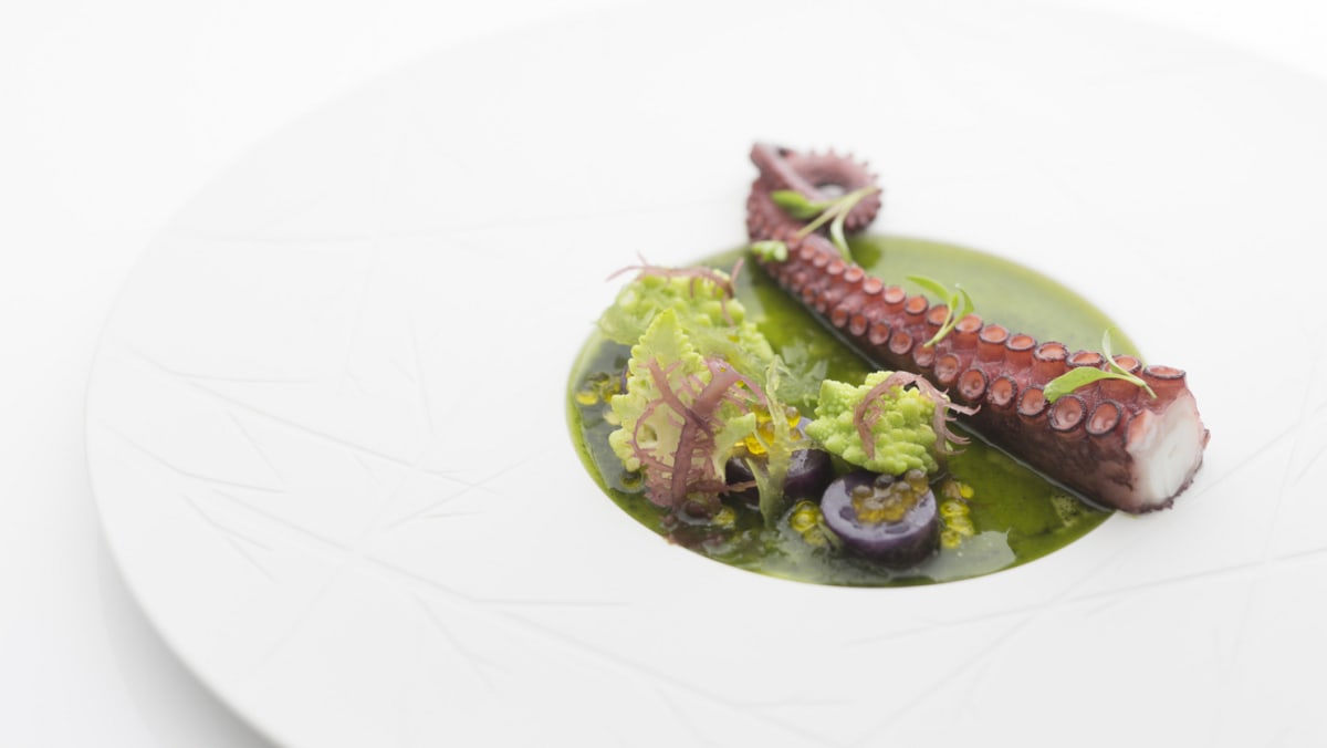 Food review Sorrel TODAY