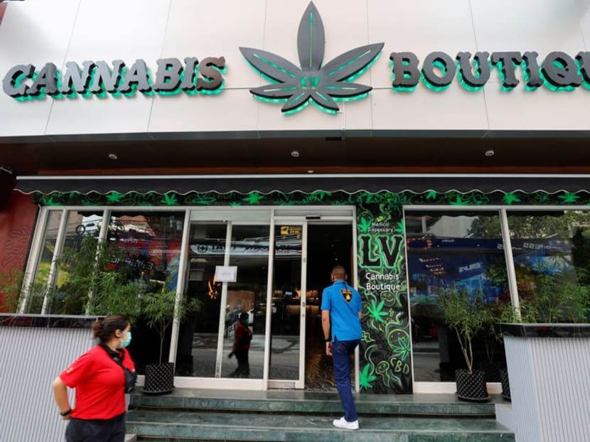 APEC host Thailand's budding marijuana industry faces backlash APEC host Thailand's budding marijuana industry faces backlash