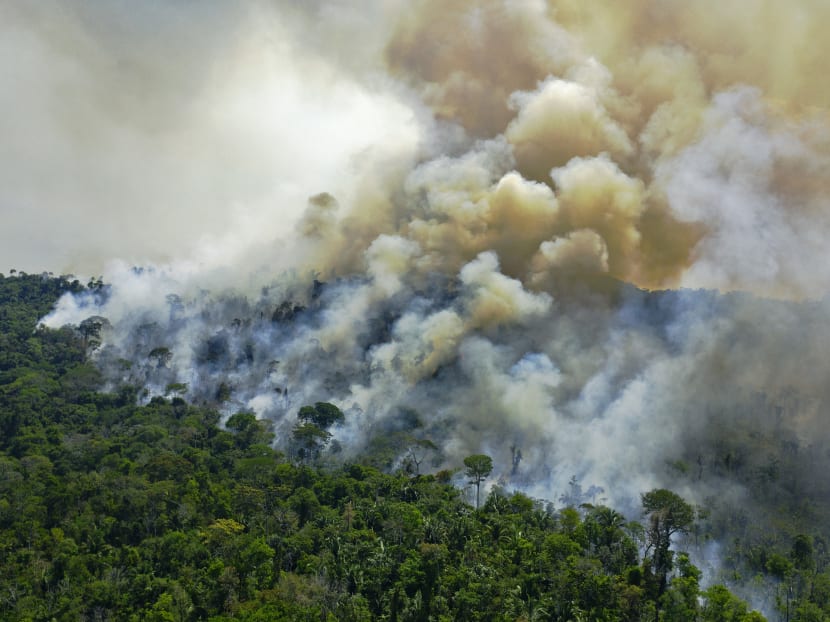 Deforestation has been going on on an industrial scale in the Amazon (pictured) under the far-right government of Brazilian President Jair Bolsonaro. Brazil has backed the pledge to end deforestation by 2030.