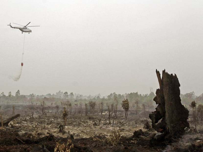 A helicopter operated by Indonesia's National Disaster Mitigation Agency (BNPB) sprays water on a fire in Kampar, Riau province on Aug 29, 2016. Indonesia's National Disaster Mitigation Agency (BNPB) reported findings of 138 hot spots around the country on Aug 29, eighty-five of them were found in Riau, producing enough haze to blow to Singapore. Photo: AFP