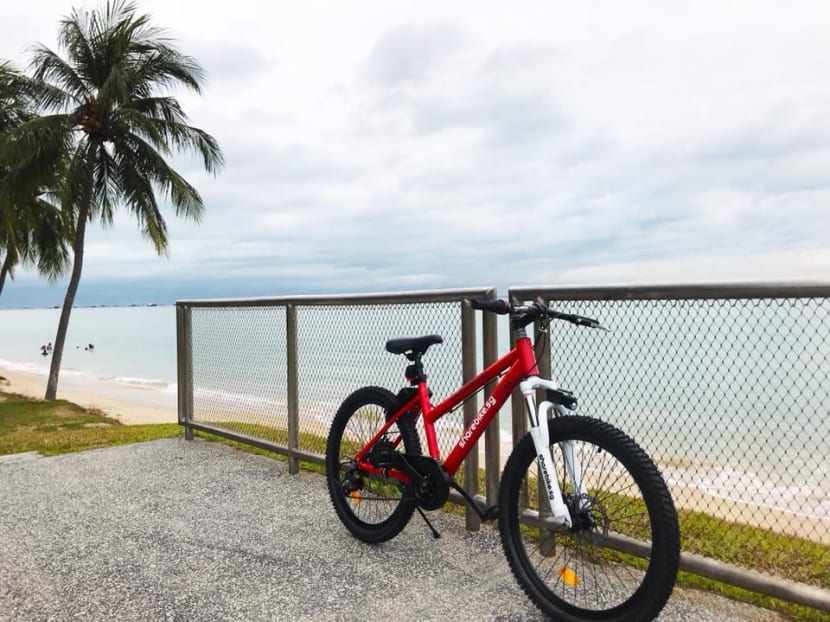 ShareBikeSG is the latest bike-sharing operator to bow out of the Singapore market.