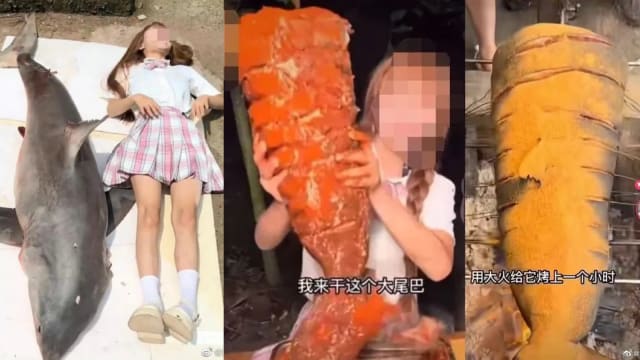 吃播购食大白鲨惹祸 中国网红被封号或面临十年监禁
