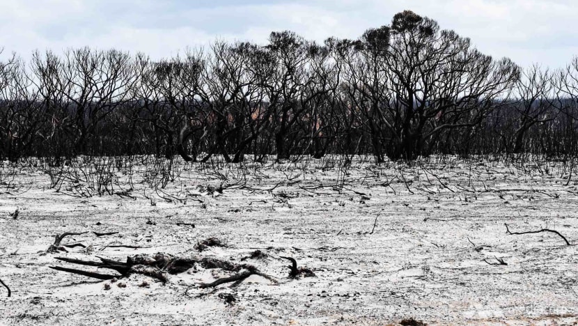 Climate change factors should be included on death certificates to show relation between environment and health: Experts Climate change factors should be included on death certificates to show relation between environment and health: Experts