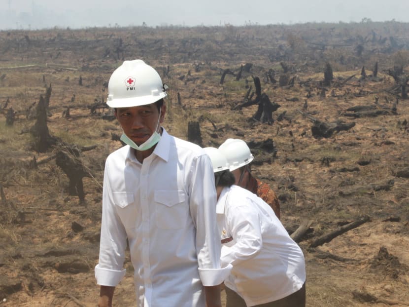 Indonesian President Joko Widodo inspects the aftermath of a recent forest fire during a visit in Banjarbaru, near Banjarmasin, south Kalimantan province, Indonesia September 23, 2015 in this photo taken by Antara Foto. Photo: Reuters