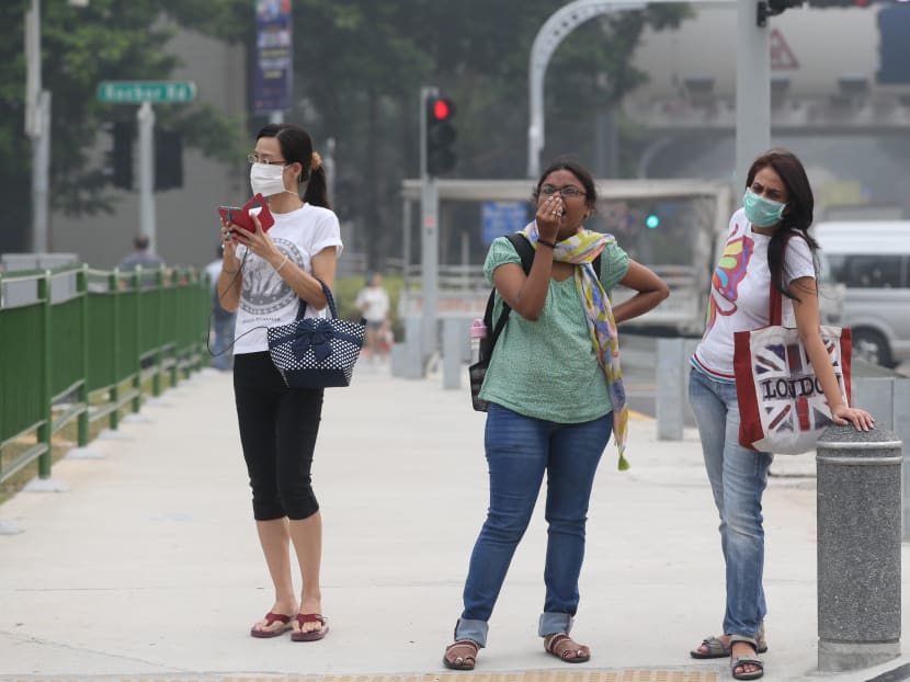 The MSS said that the drier-than-normal weather conditions it is forecasting in the coming weeks could lead to an escalation of hotspot activities and an “increase in the risk of transboundary haze occurrence in Singapore and the surrounding region”. The MSS said that the drier-than-normal weather conditions it is forecasting in the coming weeks could lead to an escalation of hotspot activities and an “increase in the risk of transboundary haze occurrence in Singapore and the surrounding region”.