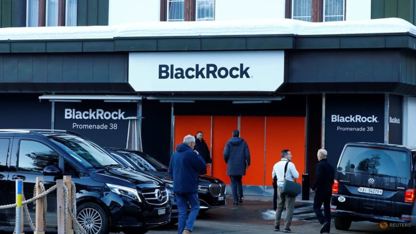 BlackRock to nearly halve stake in Britain's THG BlackRock to nearly halve stake in Britain's THG
