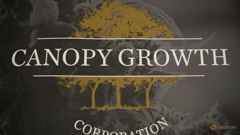 Pot producer Canopy launches pet treats after Martha Stewart's line takes off Pot producer Canopy launches pet treats after Martha Stewart's line takes off