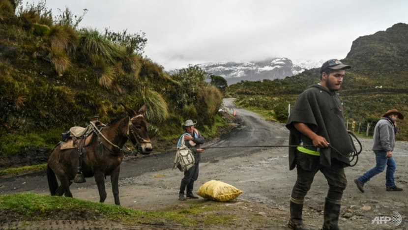 As Colombian volcano rumbles to life, villagers resist evacuation As Colombian volcano rumbles to life, villagers resist evacuation