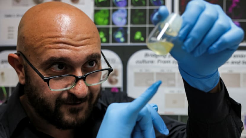 Commentary: World’s first ‘synthetic embryo’ - why this research is more important than you think Commentary: World’s first ‘synthetic embryo’ - why this research is more important than you think