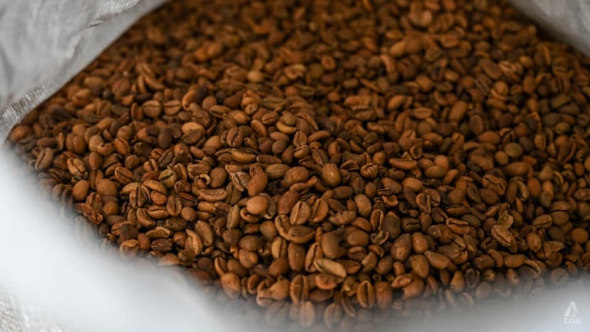 'Sukar pada mulanya': Kilang biji kopi kaedah tradisional di Klang ini masih utuh beroperasi sejak 1959 9 FDZ 3315