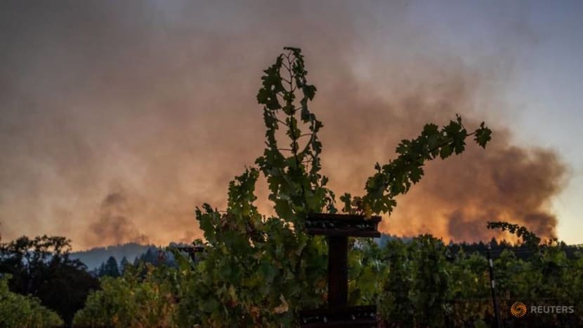 Firefighters make headway in California wine country, 'gigafire' reaches 1 million acres Firefighters make headway in California wine country, 'gigafire' reaches 1 million acres