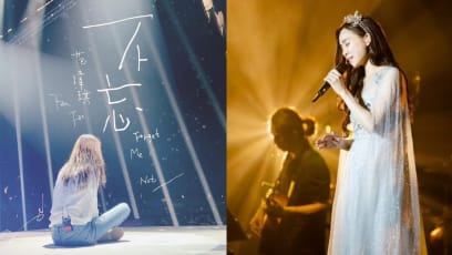 Christine Fan Dedicates New Song To Fan Who Died On The Way To Her Concert