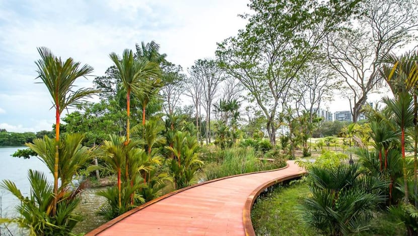 Lakeside Garden opens to public under first phase of Jurong Lake Gardens Lakeside Garden opens to public under first phase of Jurong Lake Gardens