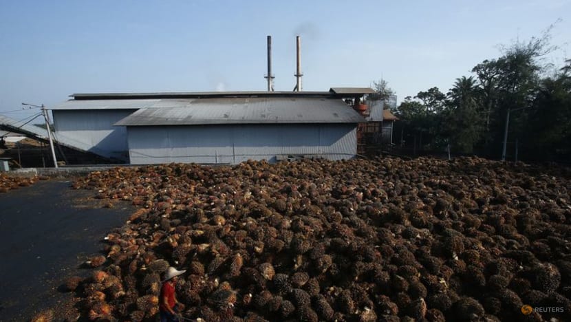 Malaysia's palm oil association expects 52,000 migrant workers to enter by year-end Malaysia's palm oil association expects 52,000 migrant workers to enter by year-end
