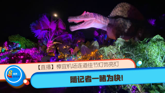 【直播】樟宜机场连道佳节灯饰亮灯 随记者一睹为快！
