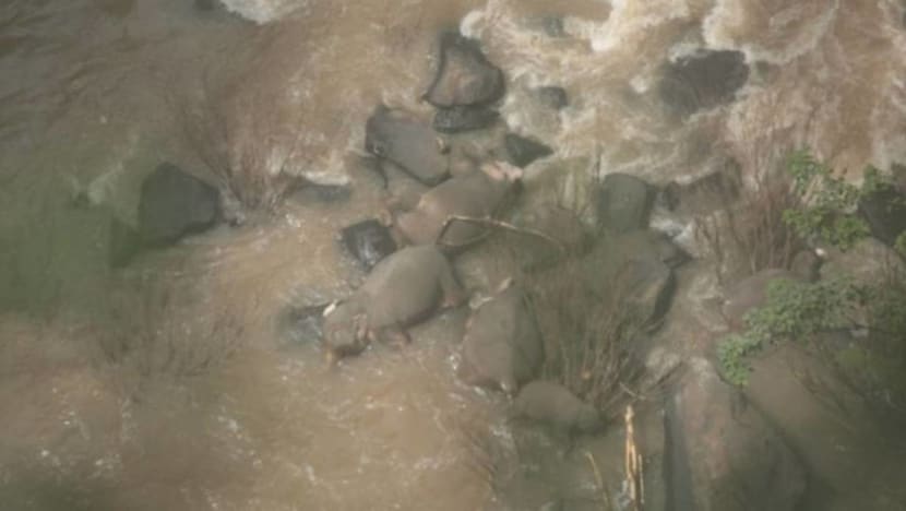 Six wild elephants drown after slipping off waterfall in Thai park Six wild elephants drown after slipping off waterfall in Thai park