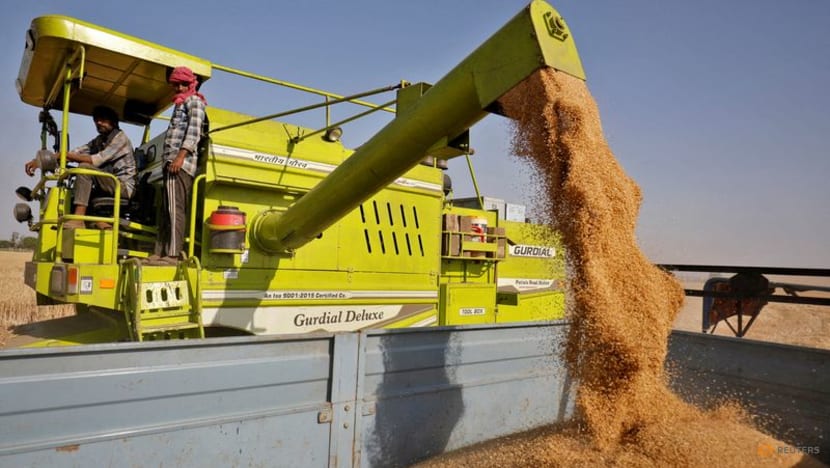 India bans wheat exports as heat wave hurts crop, domestic prices soar India bans wheat exports as heat wave hurts crop, domestic prices soar