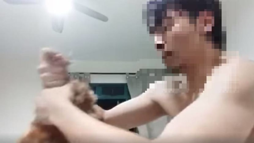 Investigations launched after videos of dog being repeatedly beaten circulate online; man in video identified Investigations launched after videos of dog being repeatedly beaten circulate online; man in video identified