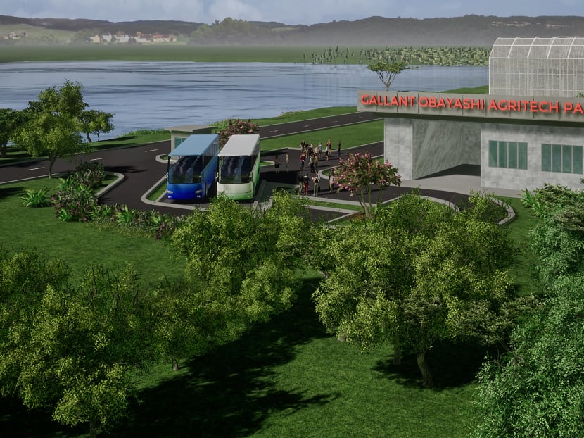 An artist's impression of the Gallant Obayashi Green Agritech Park, to be built on Bintan Island.