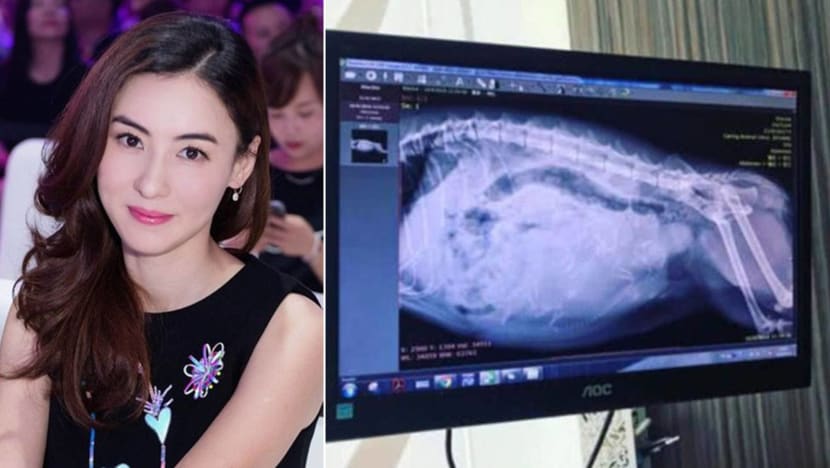 Cecilia Cheung is expecting a new family member