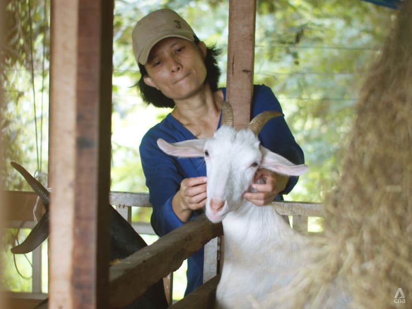 Meet Thailand’s first female cheesemaker producing artisanal goat’s cheese
