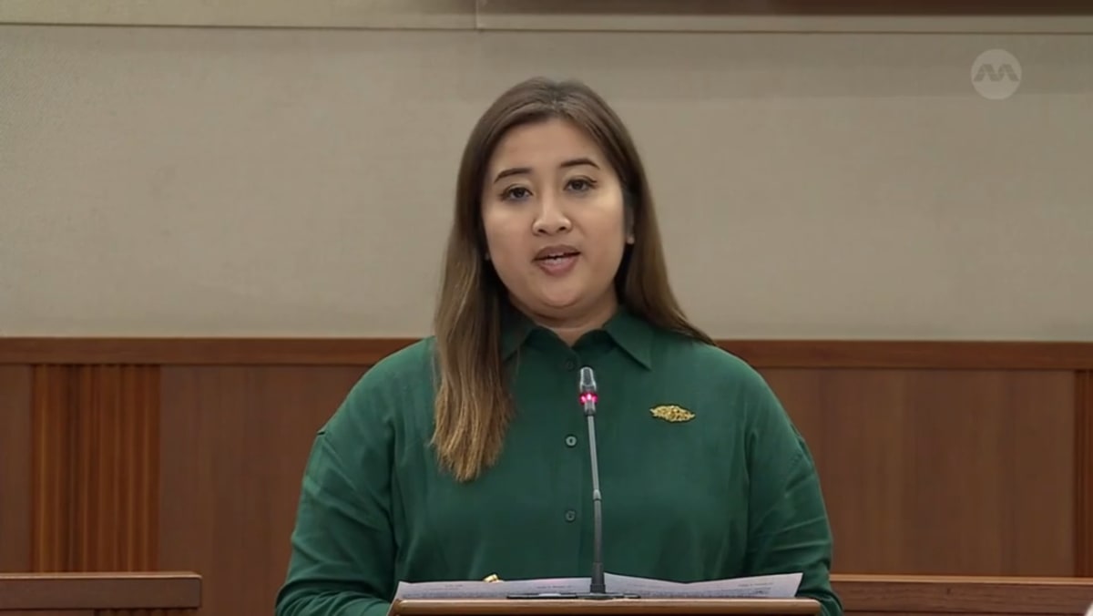 Nadia Ahmad Samdin on Tax (Amendment) Bill CNA