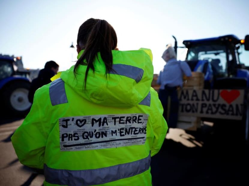 Farmers Drive Tractors Through Paris In Protest At Pesticide Bans Today