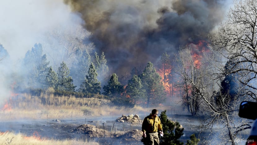 Wind-driven Colorado grass fire destroys hundreds of homes, displaces thousands