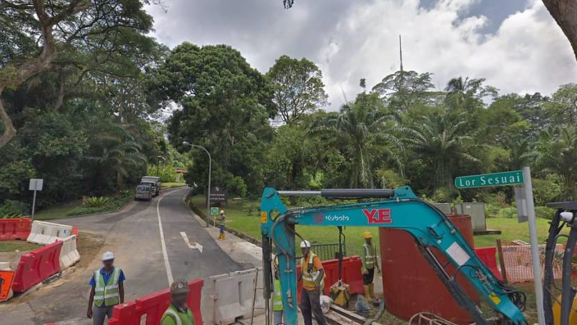 5-year-old boy, woman found dead near Bukit Batok Nature Park