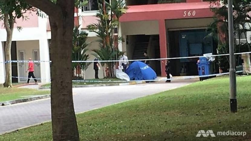 Pasir Ris double deaths: 'Depressed' father was worried about future of autistic daughter