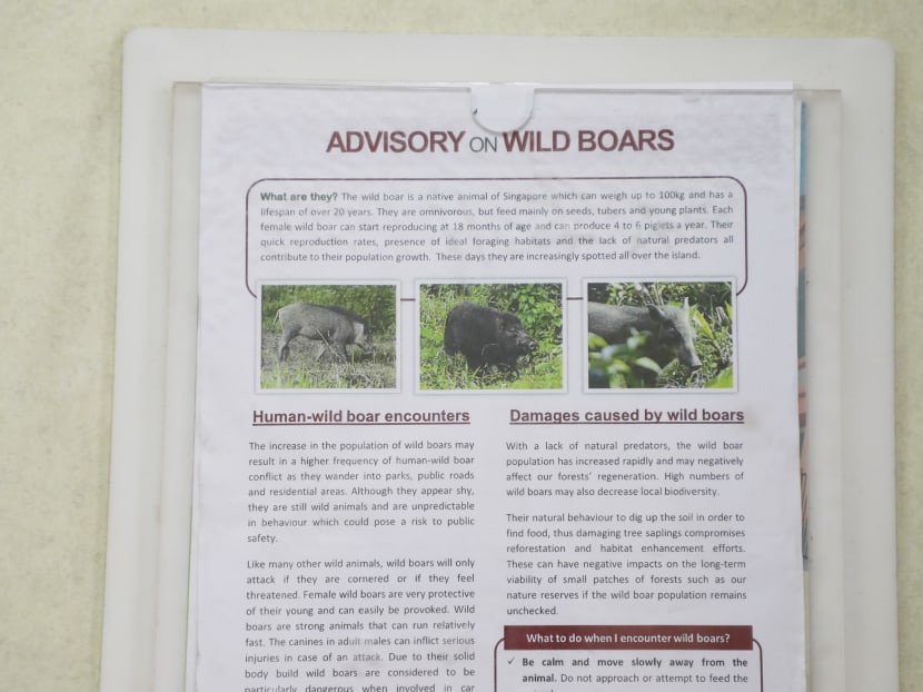 An advisory on wild boars was seen in the lift of Block 652, Yishun Avenue 4, near Yishun Park, on March 10, 2022.