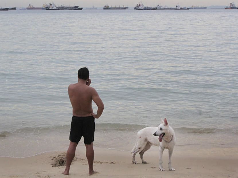 A dog and its owner at East Coast Park. TODAY file photo