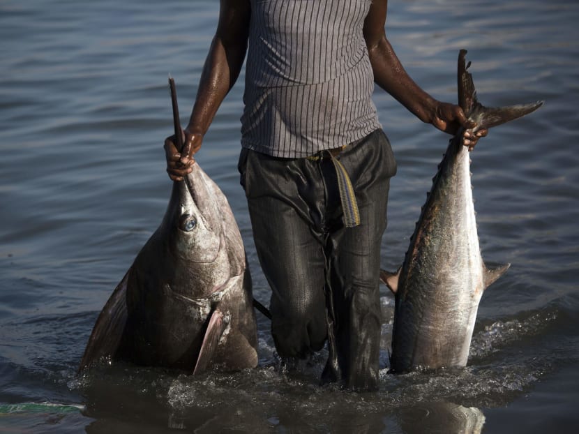 US moves to stop fishing crimes by tracking seafood imports TODAY