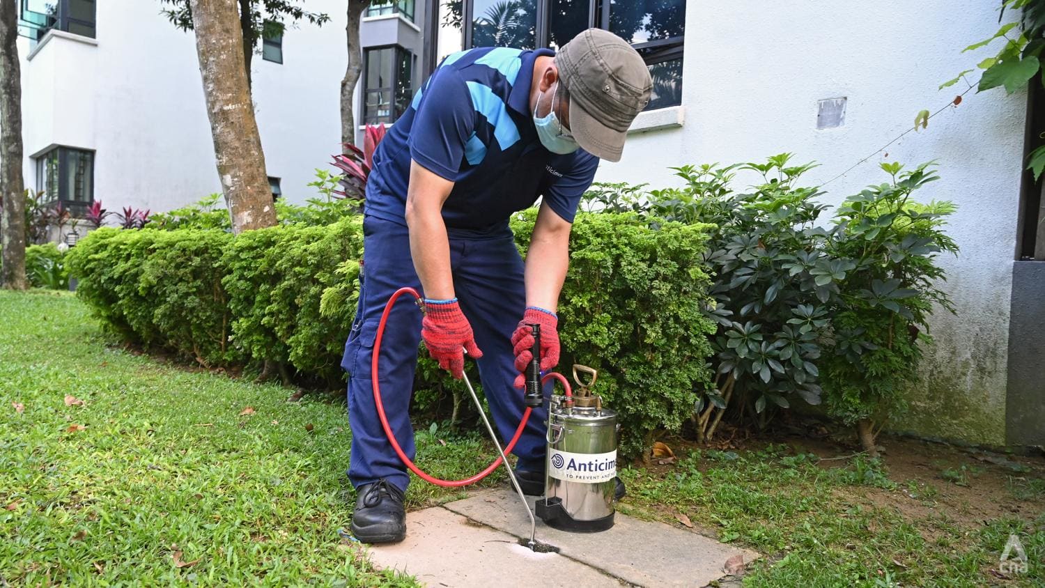 'Not rocket science': How one condominium is taking steps to fight dengue 'Not rocket science': How one condominium is taking steps to fight dengue