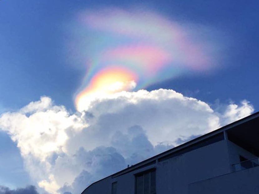 An iridescent cloud seen from Carmichael Road on Monday, Feb 20, 2017. Photo courtesy of Zhou Guang Ping