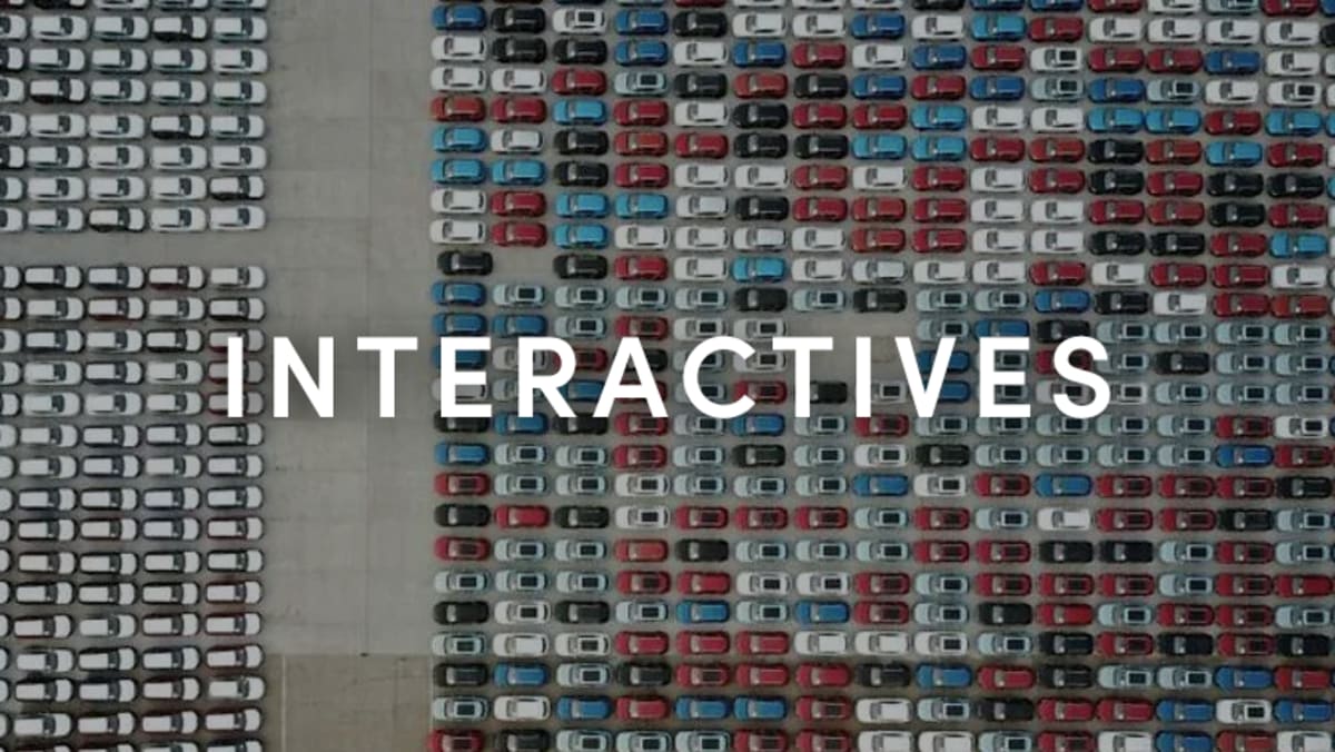 CNA ‘What Bird Are You?’ Quiz