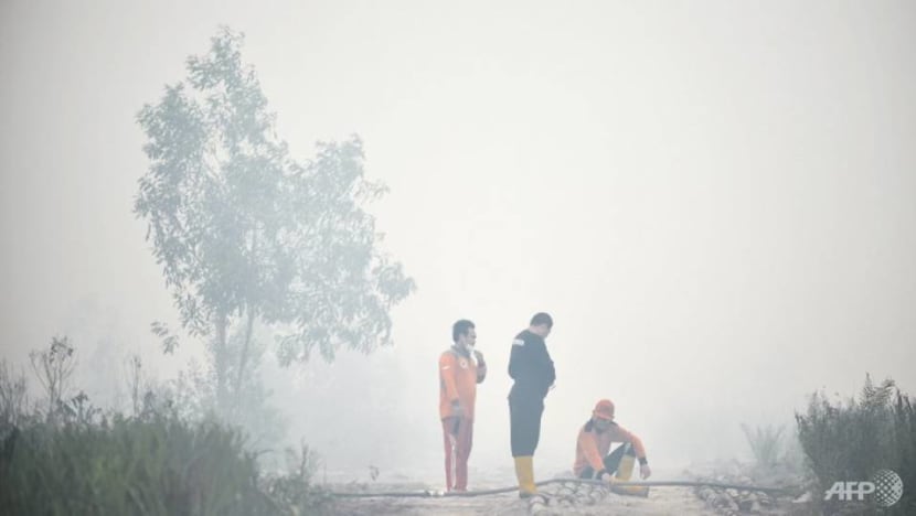 Commentary: As temperatures rise, Indonesia's water-sharing can prevent transboundary haze Commentary: As temperatures rise, Indonesia's water-sharing can prevent transboundary haze