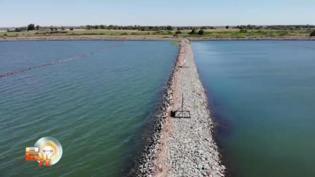 晨光|着眼天下：美国加州河水盐化 建坝非长久之计