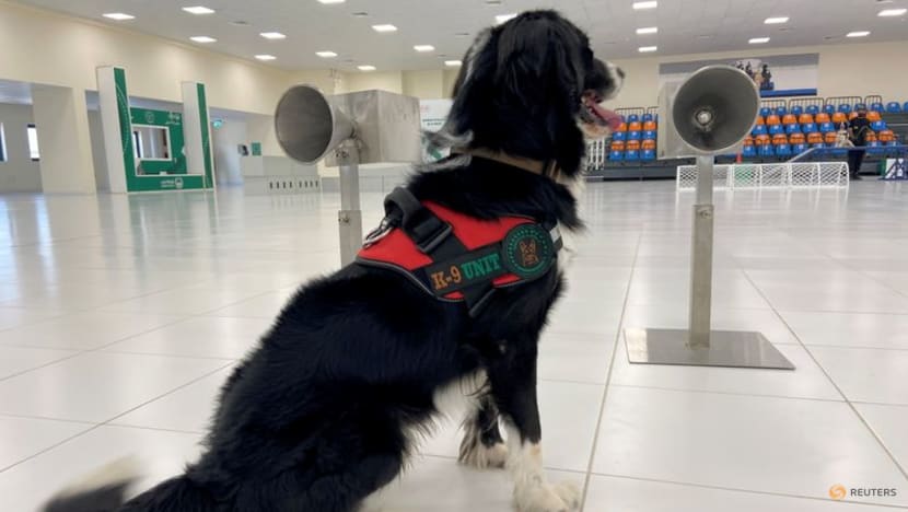 Led by the nose: Meet the UAE's COVID-19 sniffer dogs Led by the nose: Meet the UAE's COVID-19 sniffer dogs
