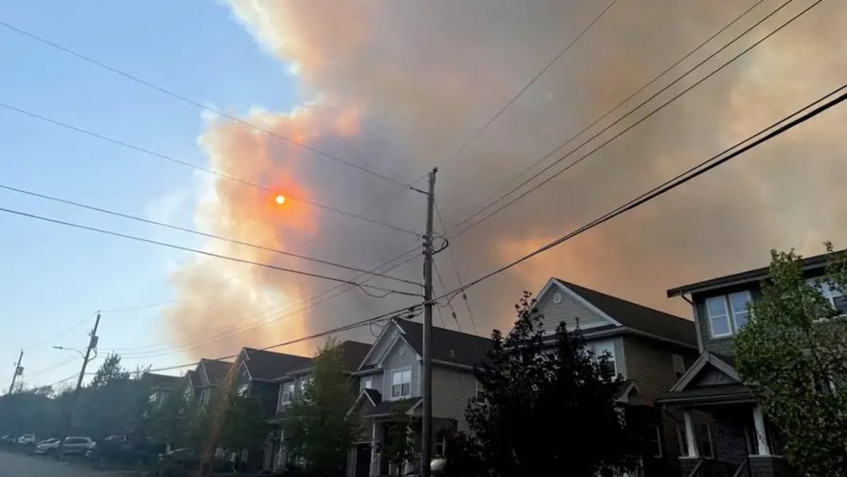 Kebakaran hutan Kanada melepaskan rekor emisi karbon